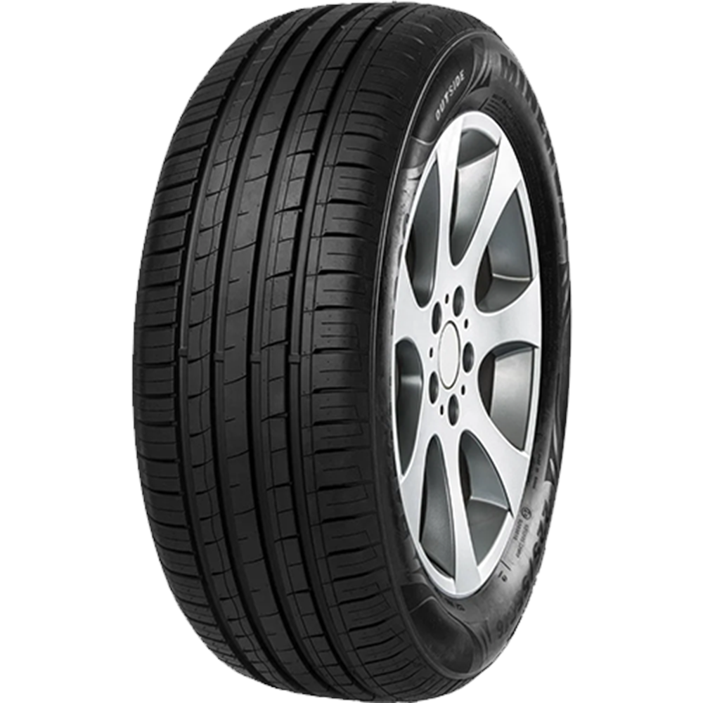205/50/15 89V F209 MİNERVA