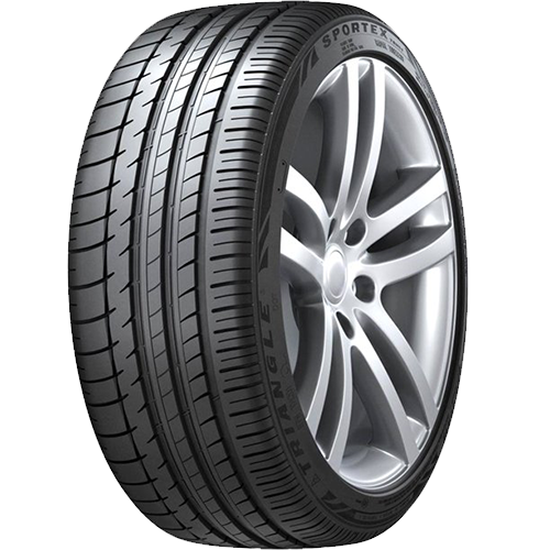 295/35/21 107Y XL TH201 TRİANGLE